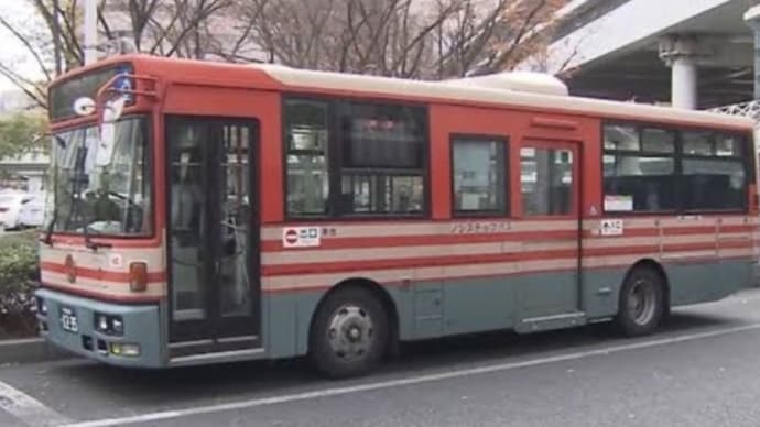 千葉で馬鹿女がバスから慌てて降車して後から来た中型路線バスに打つかる