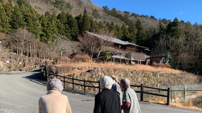 お散歩へ