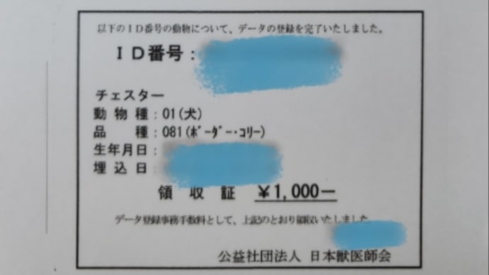 ずっとずっと一緒だけどね