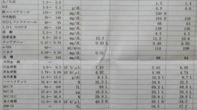 脂質異常の診察日 4月