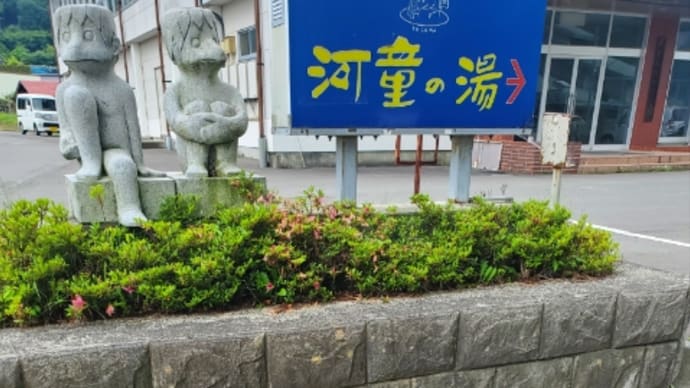 1人と一ぴきの生活の始まり。