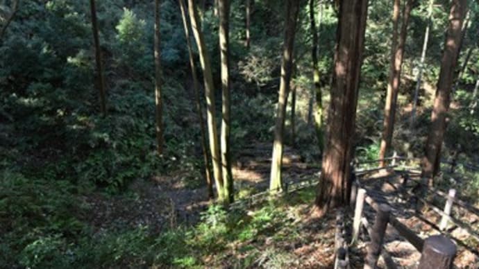 寺家の森(その三)