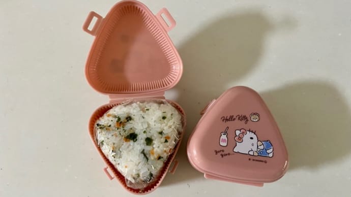 おにぎりだけです