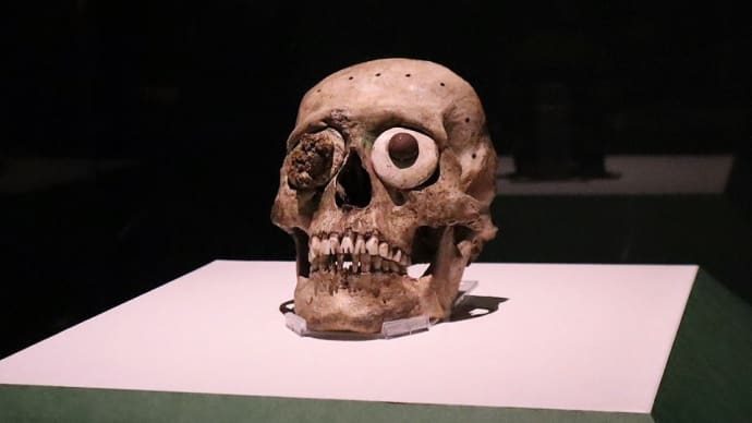 東京国立博物館で、『古代メキシコ　マヤ、アステカ、テオティワカン』を観ました。