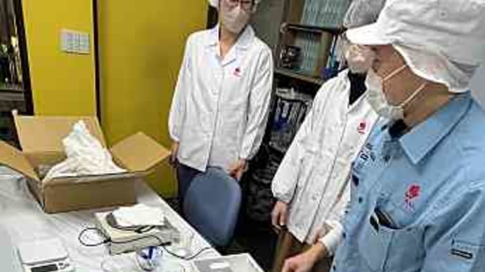 ローザでの職場体験:新たな視点からの洞察