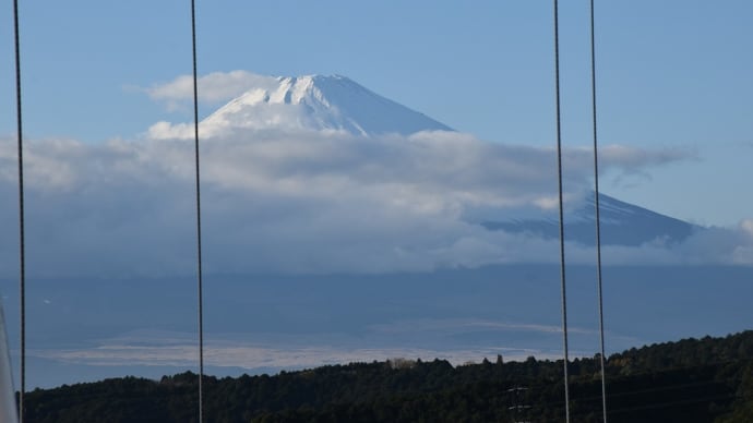 もみじ狩り 静岡県三島市笹原新田 三島スカイウォーク(2)スカイウォークと富士山