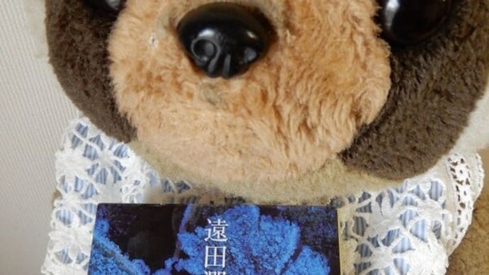 雪の日に読む小説・４（『雪の鉄樹』遠田潤子）　