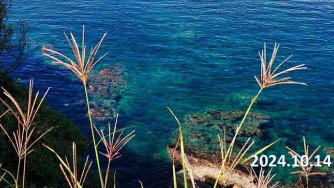 山陰の海 10月14日撮影分