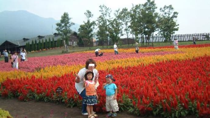 くじゅう花公園 2002年9月バージョン