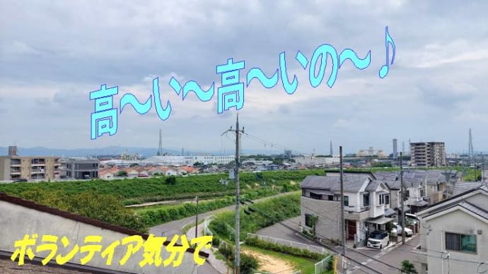 高~い~たか~いボランティア気分で・・・&たまにしか見かけないトレンディレストランの弁当
