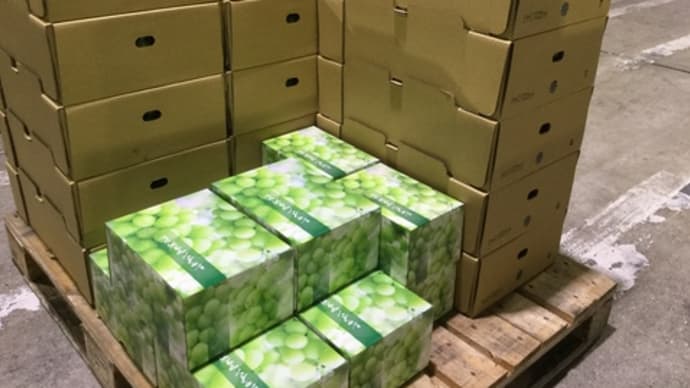 高松中央卸売市場市場【高松青果】様に、先程高級お葡萄様を出荷です✌️
