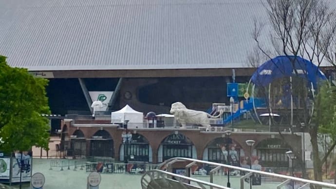 街からすぐの山の中