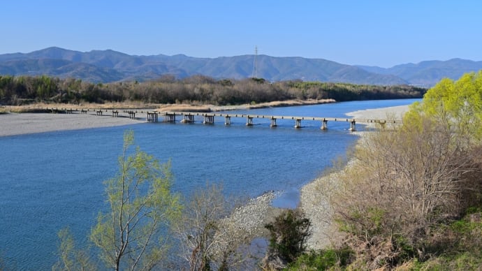 吉野川潜水橋と善入寺島の菜の花