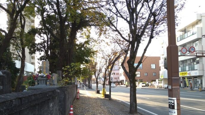 やっと落ち着いたかな?