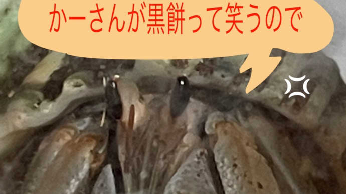 フードファイターおもちさん🦐と甲状腺の話し