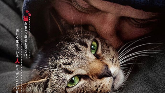 猫と、とうさん