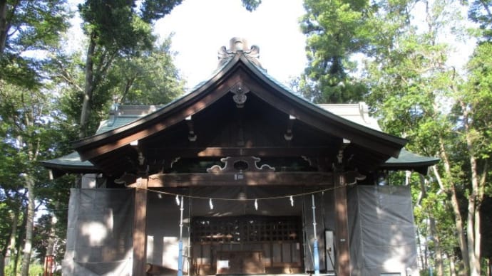 今日はフリーマーケットが行われる富士森公園(2020年8月29日)
