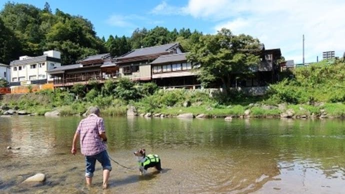 初めての川遊び