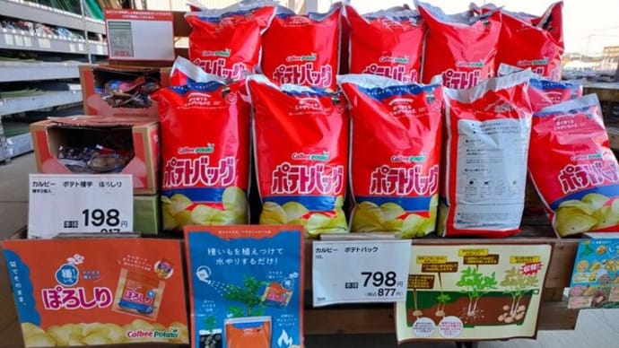 カルビーのポテトチップスの素