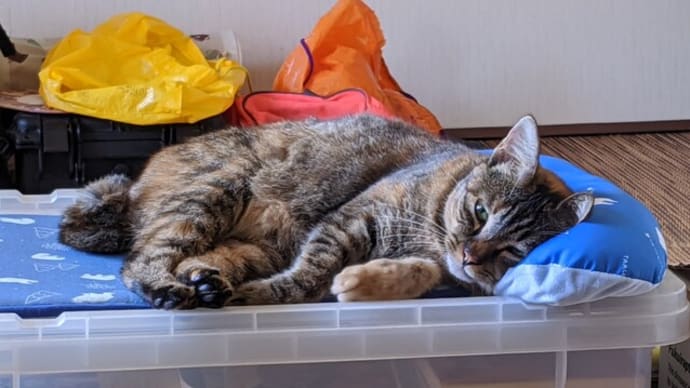 その裏側に在るモノは…何ですか?🙄