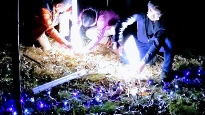 竹林シネマに参加しませんか?