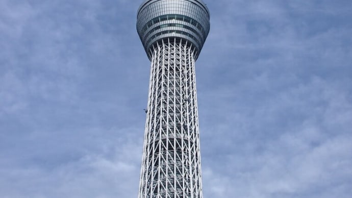 ~東京スカイツリー~ レンズを50mm相当縛りにしてWタワーの撮影に臨んだ