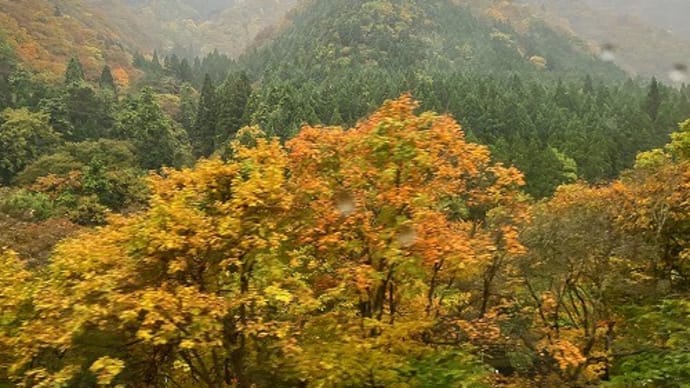 東北旅行③ 立佞武多、五能線、不老不死温泉@青森県
