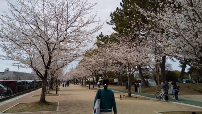 春の陽気に誘われて・・・🌸🌸🌸