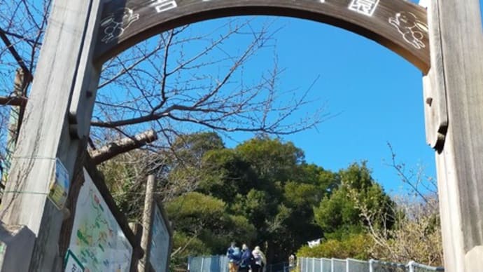 吾妻山公園