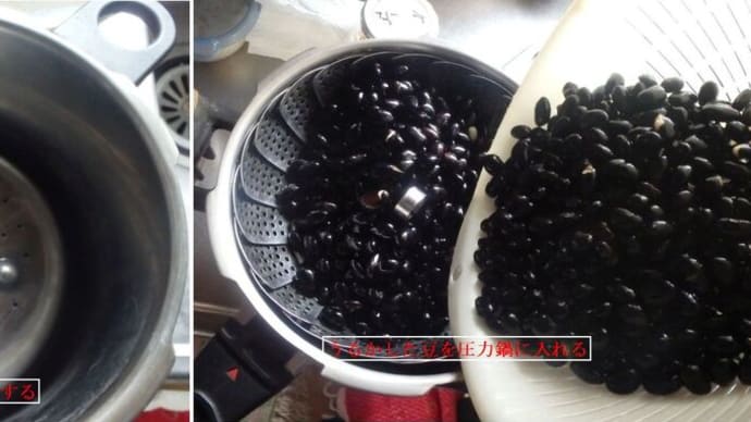 黒豆納豆を作って見た