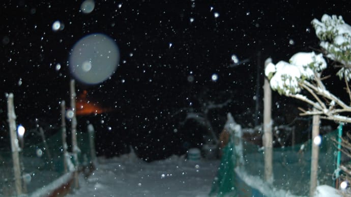 令和7年3月19日・05:45の雪の様子