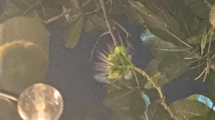 グァムにも人が戻ってきていました