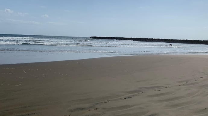 no surf no life
