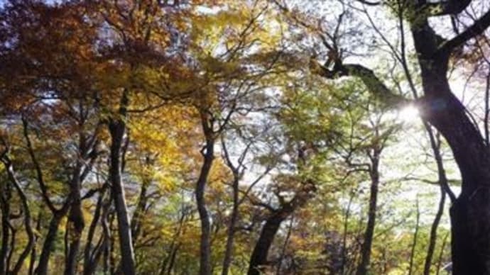 永遠のいのちを得る道
