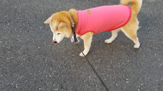 見えてる？見えてない？どっち？