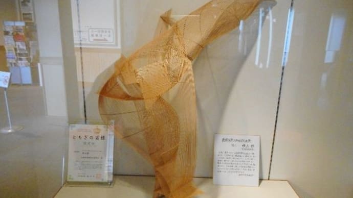 第23回全国竹芸展 入賞作品を見に行きました