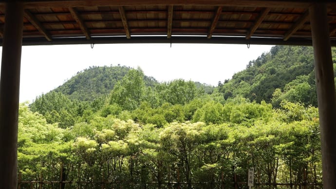 【京都幕間旅情】光悦寺,江戸時代の芸術一大拠点に想う文章を書くという事と描くという事
