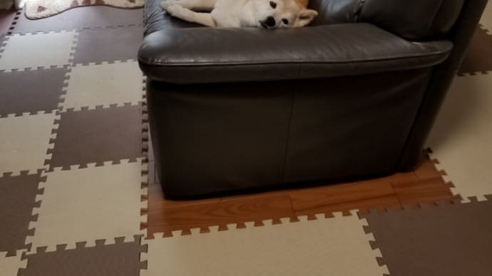 クリン、待っててね