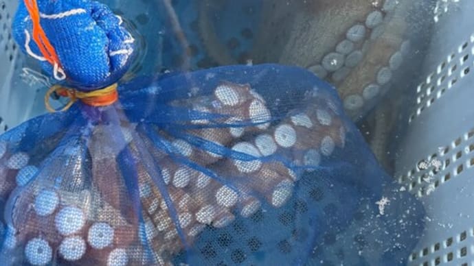 海産物直売のお知らせ