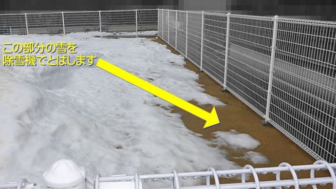 【クッキーが『ドッグ ブーツ』を履いて雪遊び】