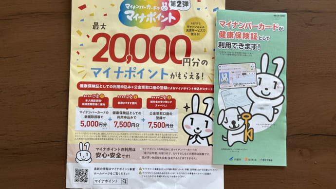 マイナポイントをいただきました