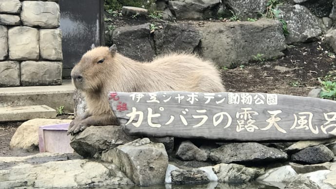 伊豆旅行(9月のことになりますが・・・)