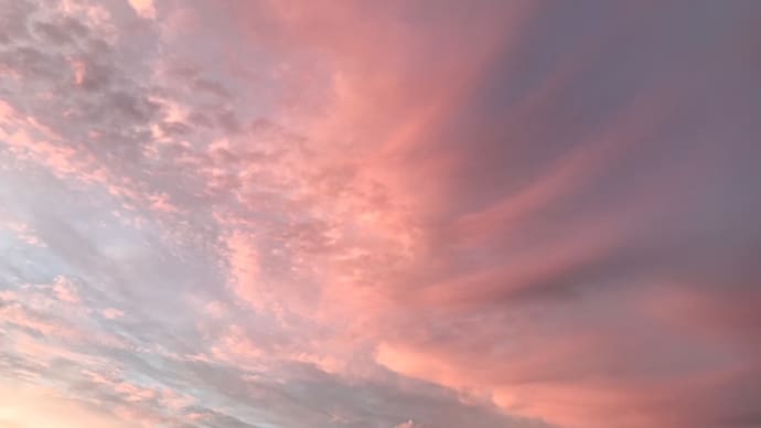 空に大きな鳳凰の姿