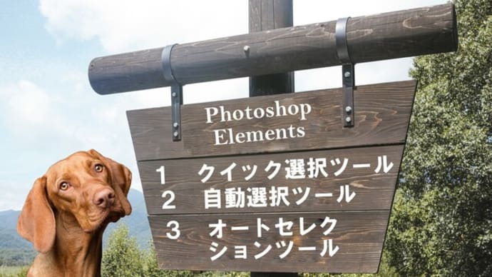 自動で画像の選択範囲作成~PhotoshopElementsの自動選択ツール