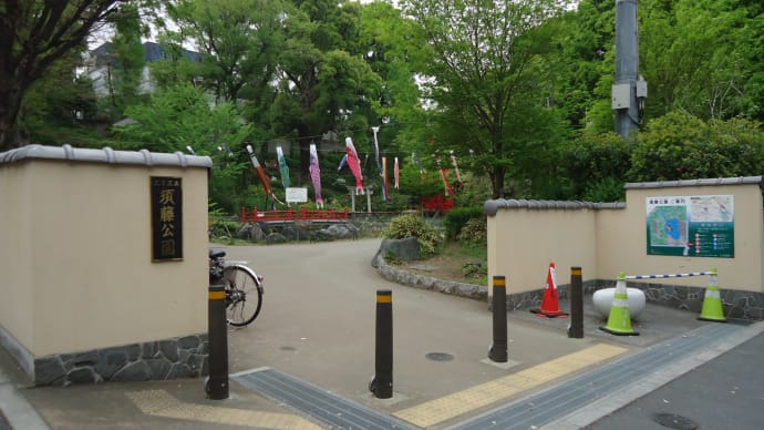 千駄木、須藤公園、鯉のぼり