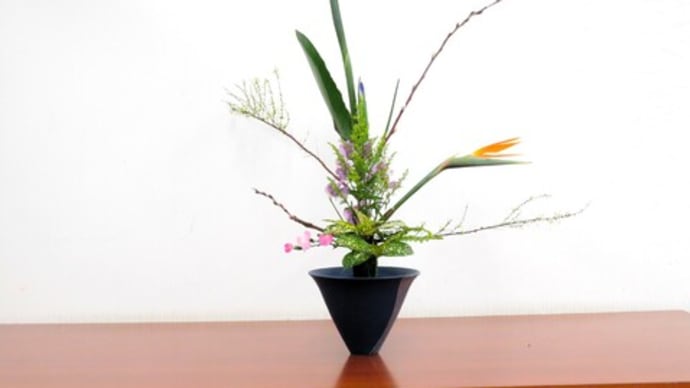ユキヤナギとストレリチアの春の立花・・花材が足りなくて苦戦
