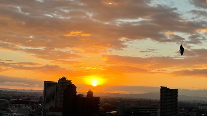 10月も下旬、祇園、宝塚、天満そして神戸