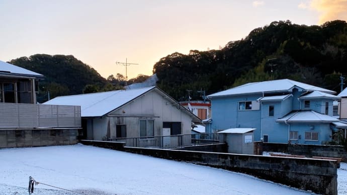 雪に翻弄される鹿児島☆
