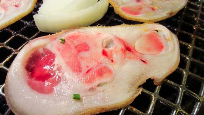 沖縄料理ご紹介① ~アグー豚の旨みとゴーヤのシャキシャキ感~