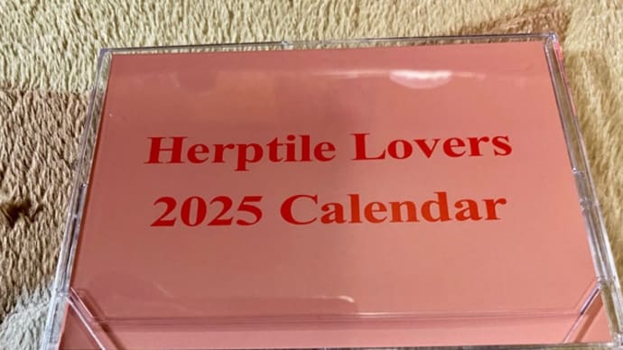 Herptile Lovers 2025 Calendar♪今年もGET(*^^*ゞ